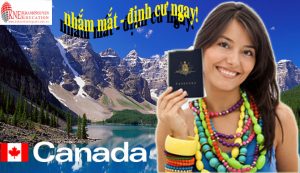 Tin tức du học - định cư canada dễ như mơ với chương trình học nghề