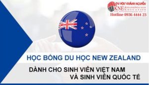 HỌC BỔNG DU HỌC NEW ZEALAND CHO SINH VIÊN VIỆT NAM VÀ QUỐC TẾ
