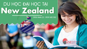 DU HỌC ĐẠI HỌC TẠI NEW ZEALAND