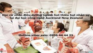 CỬ NHÂN ĐIỀU DƯỠNG NGÀNH HOT THIẾU HỤT NHÂN SỰ TẠI NEW ZEALAND