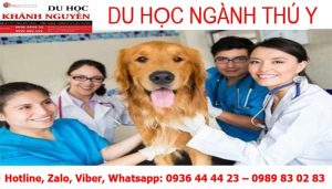 DU HỌC NGÀNH THÚ Y TẠI HỌC VIỆN EIT NEW ZEALAND