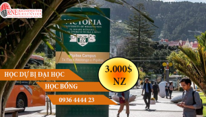 Học bổng 3.000$NZ Cho Chương Trình Dự Bị Đại Học