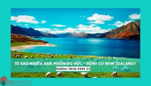 VÌ SAO NHIỀU BẠN MUỐN DU HỌC NEW ZEALAND?