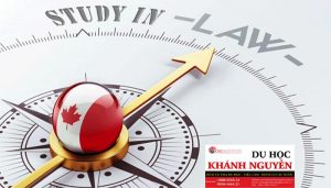 DU HỌC CANADA NGÀNH LUẬT