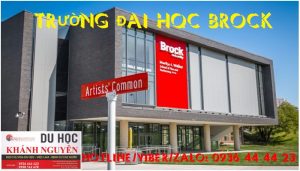 Chương trình thực tập Co-op Canada