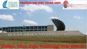 TRƯỜNG ĐẠI HỌC TEXAS A&M