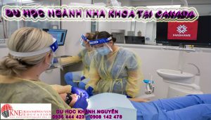 Du học ngành Nha Khoa tại Canada
