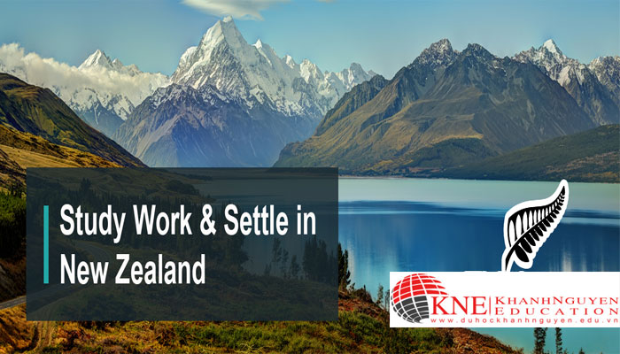 Bạn nghĩ gì khi mong muốn được làm việc ở New Zealand