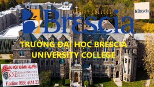 TRƯỜNG ĐẠI HỌC BRESCIA UNIVERSITY COLLEGE
