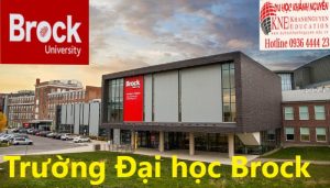 Trường Đại học Brock University