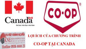 Chương trình Co-op tại Canada