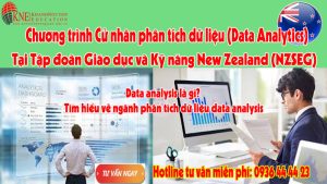 Cử nhân phân tích dữ liệu
