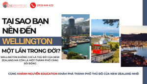 DU HỌC NEW ZEALAND TẠI WELLINGTON