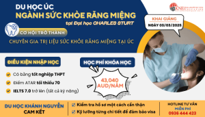 NGÀNH SỨC KHỎE RĂNG MIỆNG