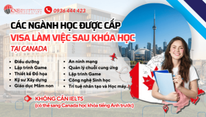 NGÀNH HỌC ĐƯỢC CẤP VISA LÀM VIỆC