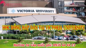 HỌC BỔNG 30% TỰ ĐỘNG CẤP