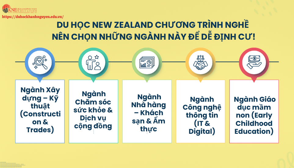 Du học New Zealand chương trình nghề nên học ngành nào?