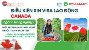 ĐIỀU KIỆN XIN VISA LAO ĐỘNG