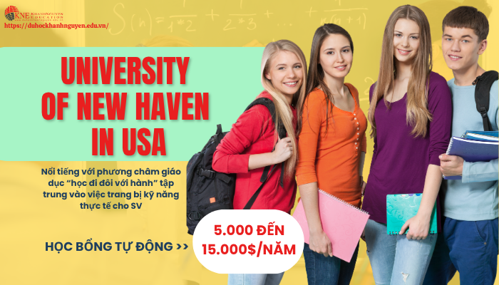 Du học Mỹ trường University of New Haven