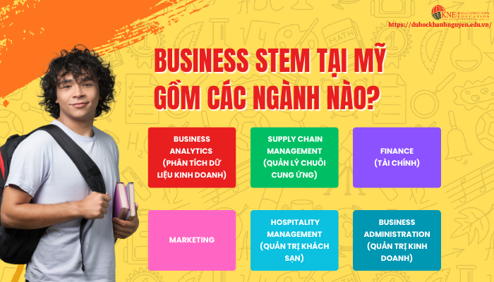 Các ngành của thạc sĩ Business STEM tại Mỹ