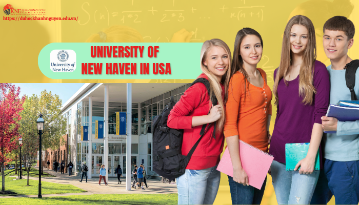 Tổng quan Du học Mỹ trường University of New Haven