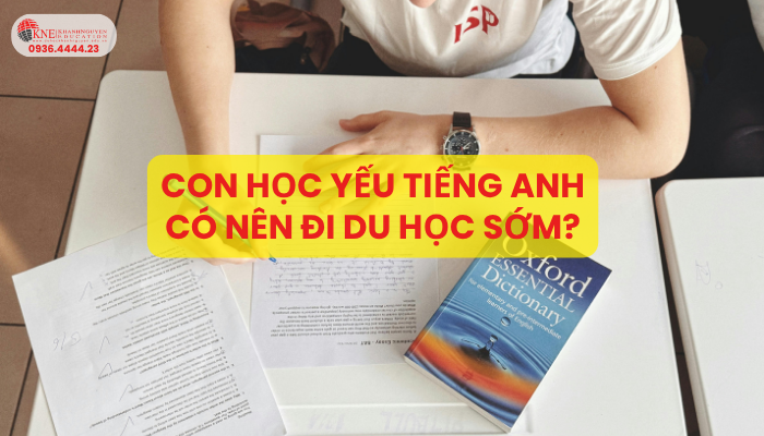 Con học yếu tiếng anh có nên du học sớm?